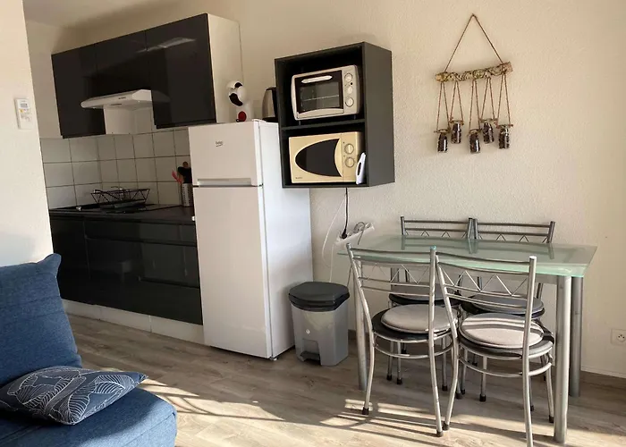 T1 Climatisé Avec Wifi, Proche Thermes Et Commerces, Balcon, 2 étoiles, - Fr-1-553-35 *