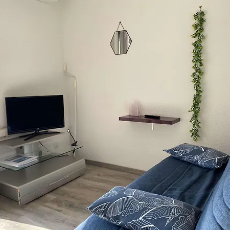 T1 Climatise Avec Wifi, Proche Thermes Et Commerces, Balcon, 2 Etoiles, - Fr-1-553-35