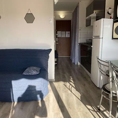 T1 Climatise Avec Wifi, Proche Thermes Et Commerces, Balcon, 2 Etoiles, - Fr-1-553-35
