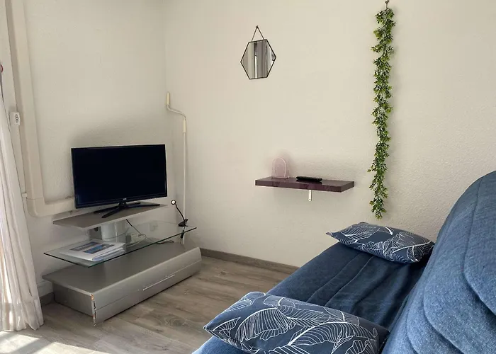 T1 Climatise Avec Wifi, Proche Thermes Et Commerces, Balcon, 2 Etoiles, - Fr-1-553-35