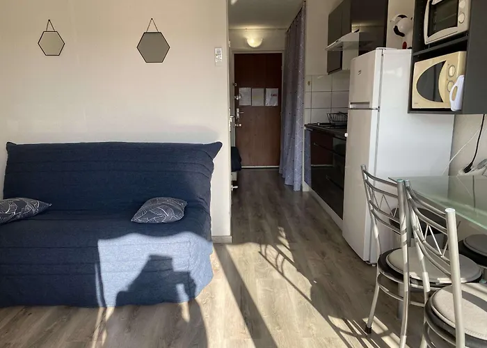 T1 Climatise Avec Wifi, Proche Thermes Et Commerces, Balcon, 2 Etoiles, - Fr-1-553-35